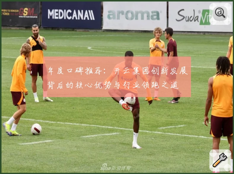 年度口碑推荐：开云集团创新发展背后的核心优势与行业领跑之道