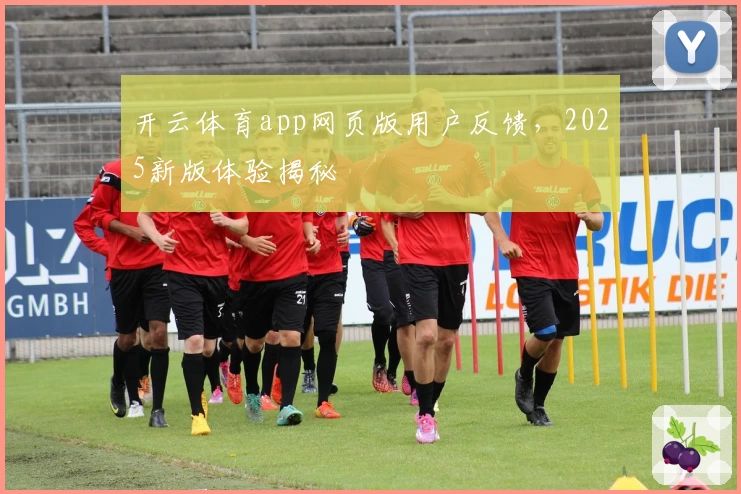 开云体育app网页版用户反馈，2025新版体验揭秘