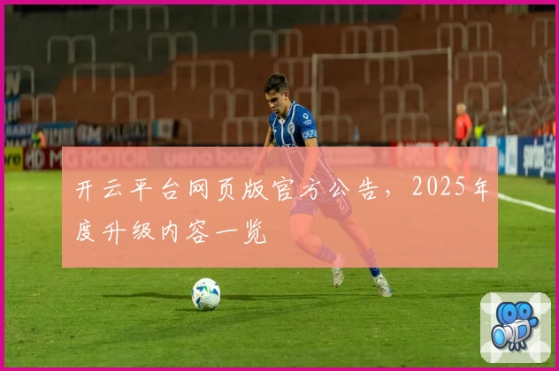 开云平台网页版官方公告，2025年度升级内容一览
